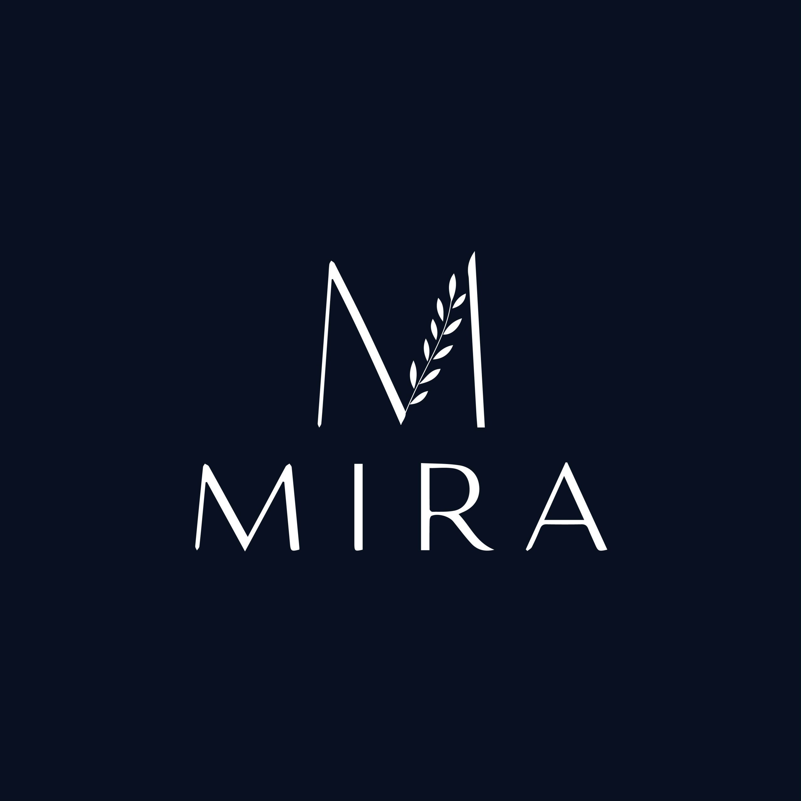 My Blog
